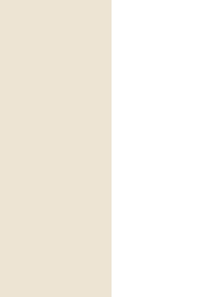 Style Sisters Beige Half Stripe A4 Wallpaper Sample - Image 2 of 3