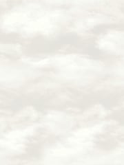 Style Sisters Beige Cloud 10M Wallpaper - Image 2 of 3