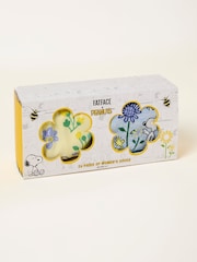 FatFace Multi Two Pack Snoopy Bee Socks in a Box - Image 1 of 2