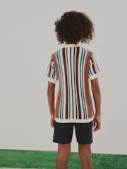 Brown Knitted Stripe Polo Shirt (3-16yrs) - Image 6 of 12