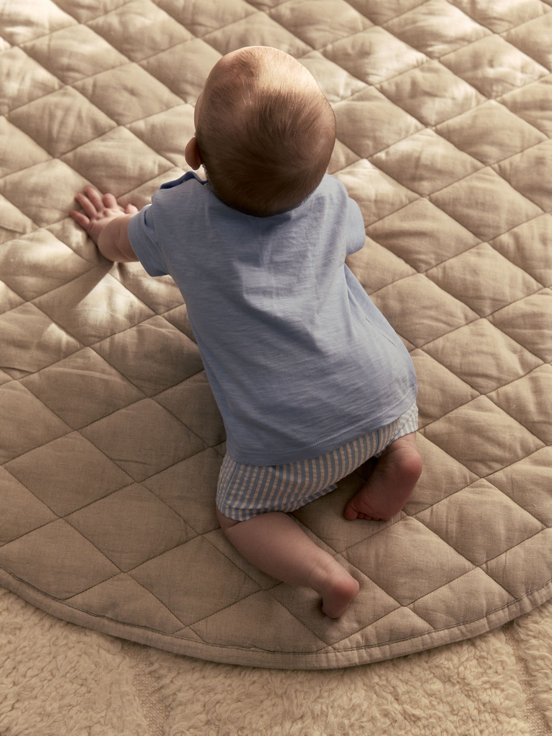 Buy Blue Lion Top and Shorts Baby Set (0mths-2yrs) from Next South