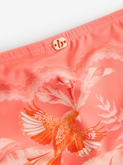 B by Ted Baker High Leg Bikini Briefs - Image 4 of 4