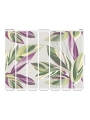 Origin Murals Grey Botanical Calathea Leaves 3.5M x 2.8M Wall Mural - Image 2 of 2