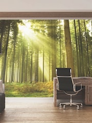 Origin Murals Evergreen Spruce 3.5M x 2.8M Wall Mural - Image 1 of 2