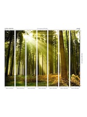 Origin Murals Evergreen Spruce 3.5M x 2.8M Wall Mural - Image 2 of 2