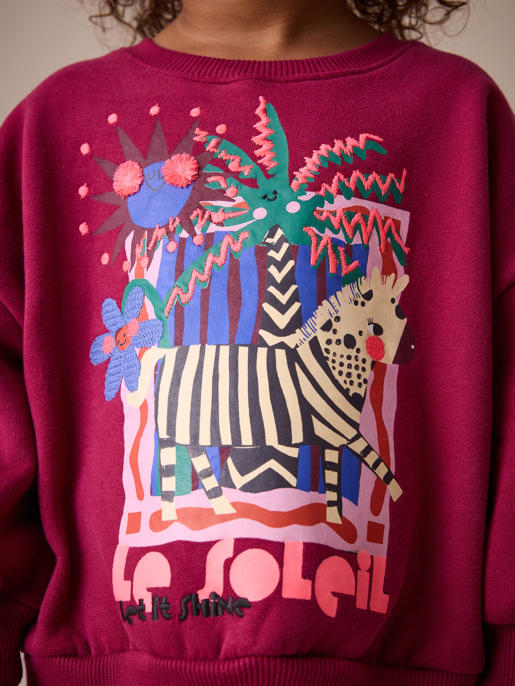 Buy Burgundy Red Zebra Crew Neck Sweatshirt (3mths-7yrs) from Next USA