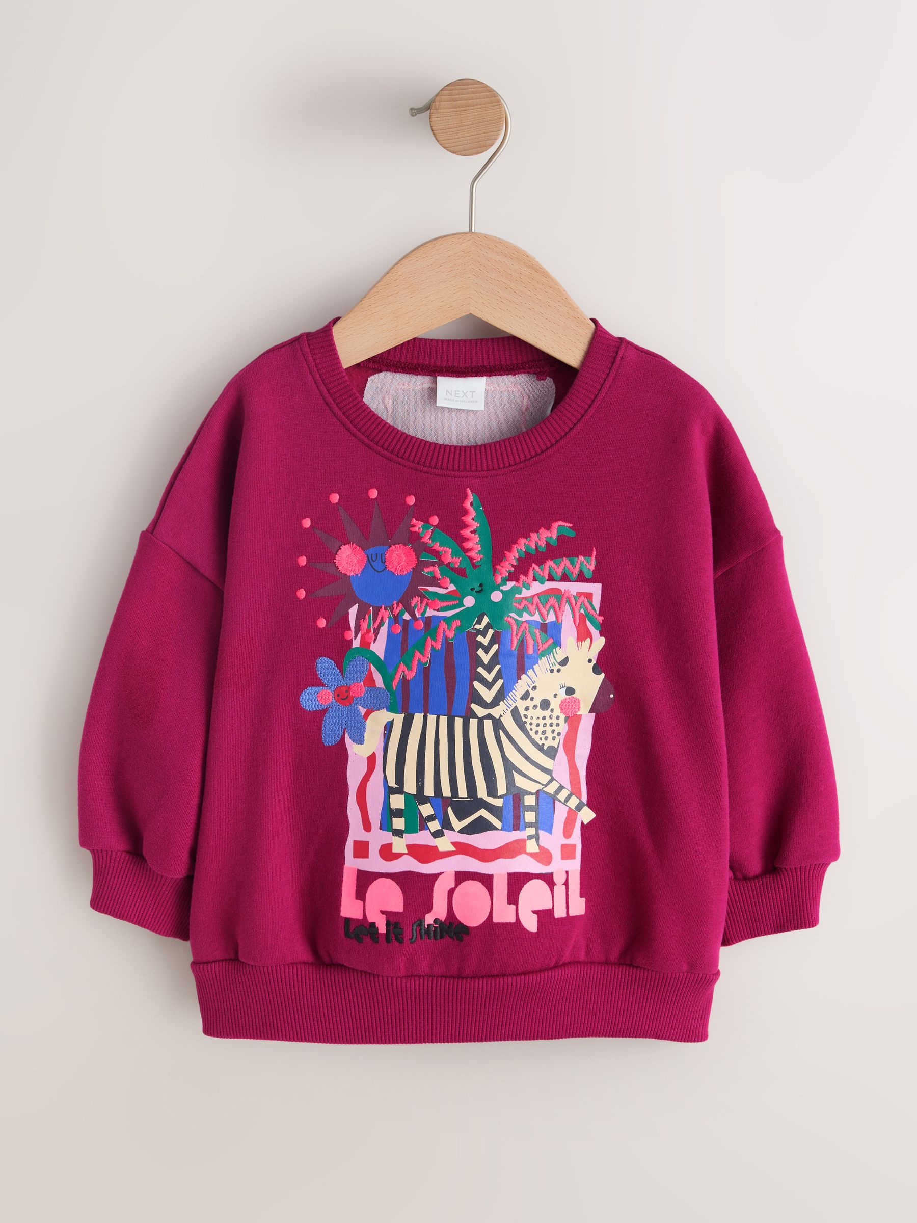 Buy Burgundy Red Zebra Crew Neck Sweatshirt (3mths-7yrs) from Next USA