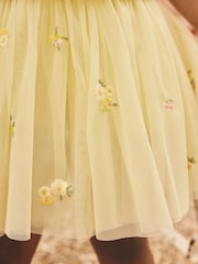 Yellow Embroidered Top & Skirt Set (3mths-7yrs) - Image 5 of 5