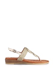 Pavers Gold Buckled Toe Post Sandals - Image 1 of 5