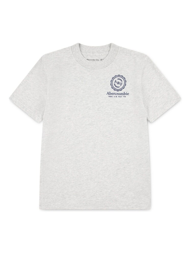 Abercrombie & Fitch Grey Long Sleeve Logo T-Shirt With Back Graphic - Image 1 of 3