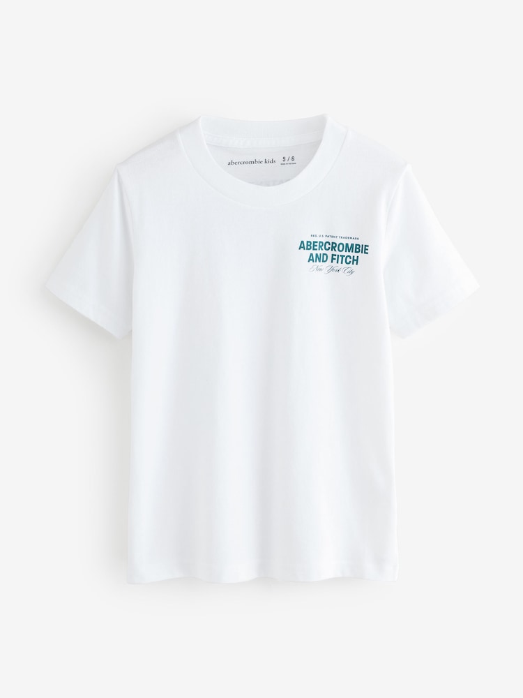 Abercrombie & Fitch White City Stack T-Shirt With Back Print - Image 1 of 1