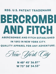 Abercrombie & Fitch White Logo City Stack T-Shirt With Back Print - Image 4 of 4