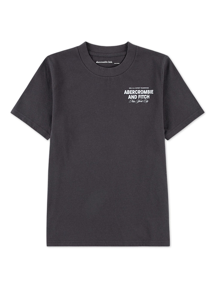 Abercrombie & Fitch Logo City Stack T-Shirt With Back Print - Image 1 of 4