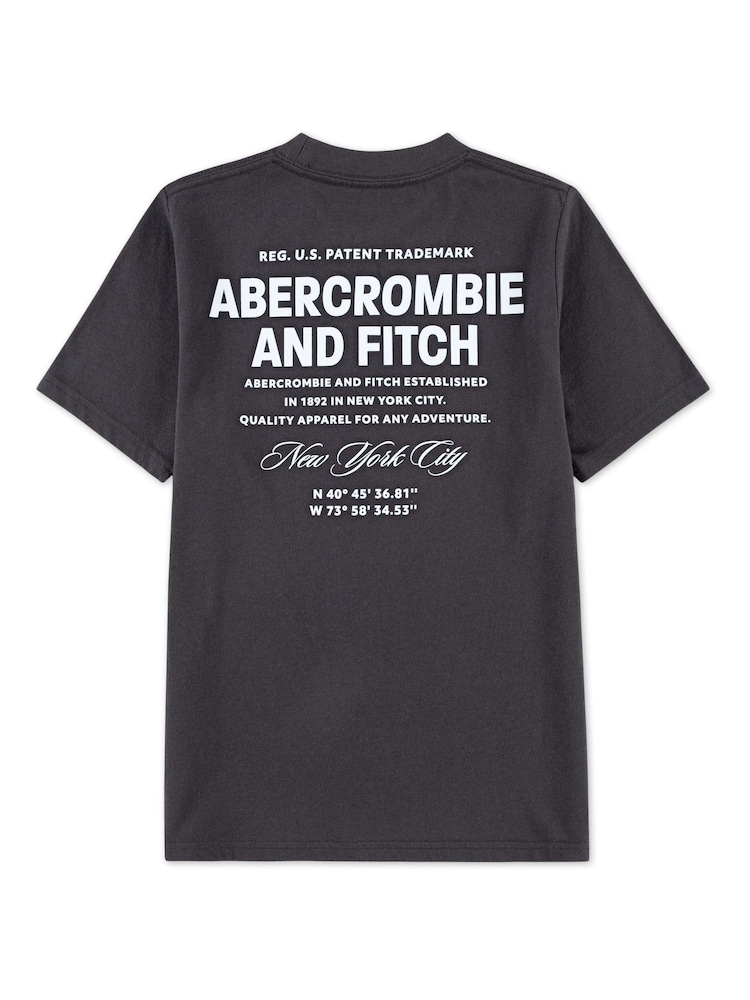 Abercrombie & Fitch Logo City Stack T-Shirt With Back Print - Image 2 of 4