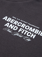 Abercrombie & Fitch Logo City Stack T-Shirt With Back Print - Image 3 of 4