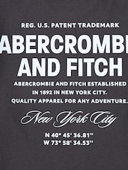 Abercrombie & Fitch Logo City Stack T-Shirt With Back Print - Image 4 of 4