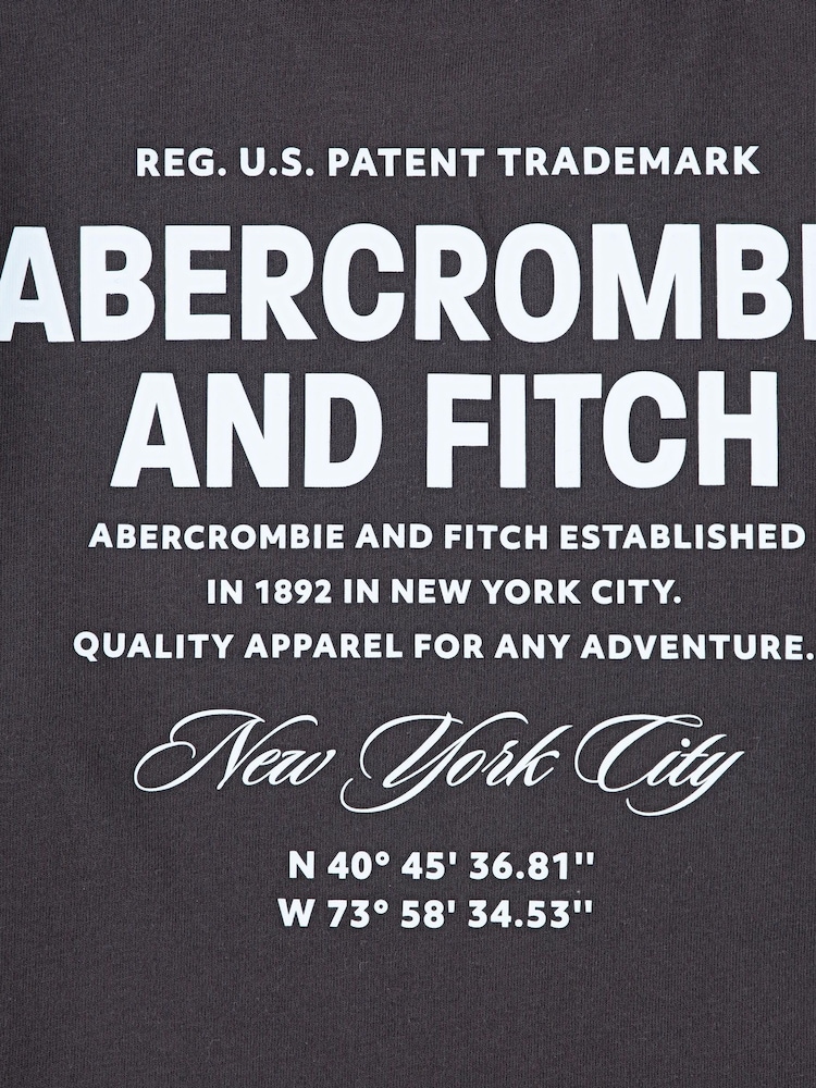 Abercrombie & Fitch Logo City Stack T-Shirt With Back Print - Image 4 of 4