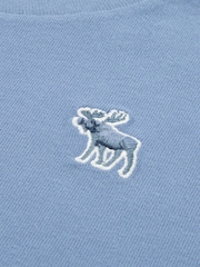 Abercrombie & Fitch Blue Short Sleeve T-Shirts 3 Pack - Image 5 of 5