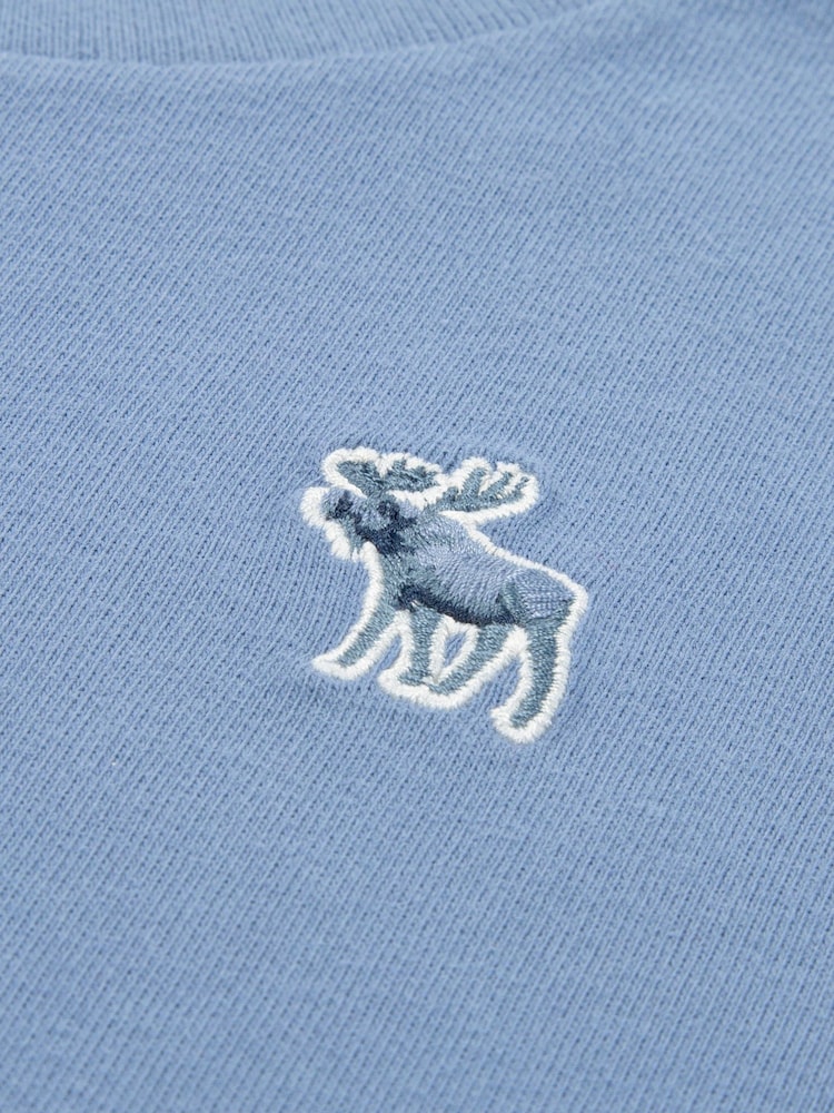 Abercrombie & Fitch Blue Short Sleeve T-Shirts 3 Pack - Image 5 of 5