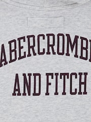 Abercrombie & Fitch Grey Logo Hoodie With Back Graphic Print - Image 7 of 9
