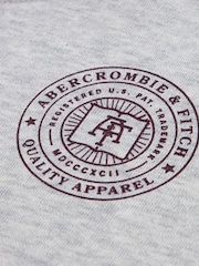 Abercrombie & Fitch Grey Logo Hoodie With Back Graphic Print - Image 9 of 9