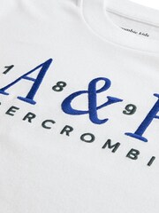 Abercrombie & Fitch Signature Logo Short Sleeve T-Shirt - Image 3 of 4