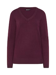 Long Tall Sally Red V-Neck Jumper - Image 5 of 5