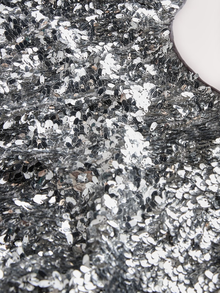 Nothing Ordinary Silver Sequin Lace Trim Flutter Sleeve Midi Dress - Image 9 of 9