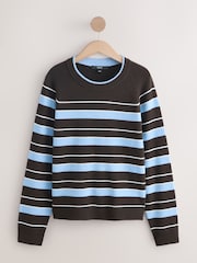 Chocolate Brown Stripe Supersoft Crew Neck Long Sleeve Jumper - Image 1 of 3