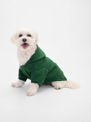 Gap Green Logo Pet Hoodie (4-13yrs) - Image 1 of 1