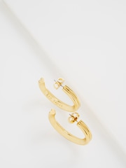 Ted Baker Gold Tone Large Hisla: Hidden Heart Hoop Earrings - Image 1 of 8