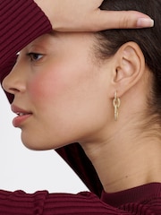 Ted Baker Gold Tone Shirina: Crystal Shimmer Drop Earrings - Image 5 of 6