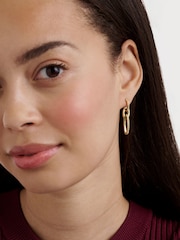 Ted Baker Gold Tone Shirina: Crystal Shimmer Drop Earrings - Image 6 of 6