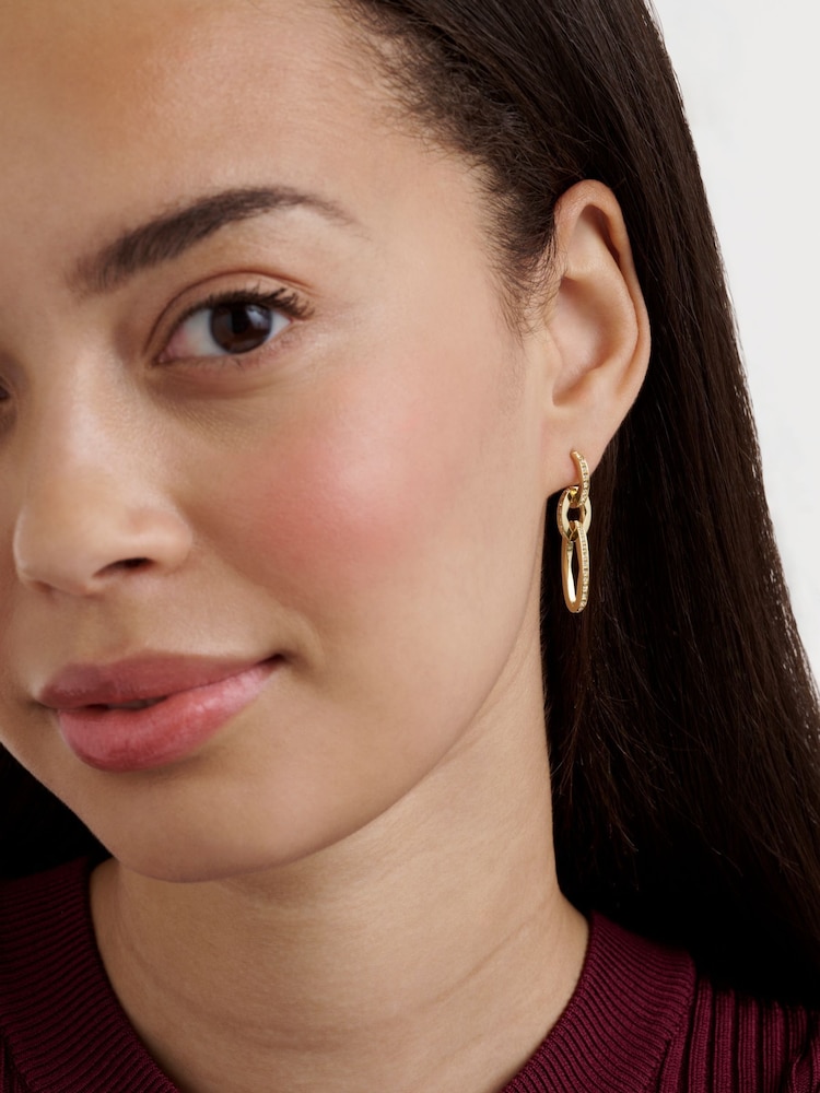 Ted Baker Gold Tone Shirina: Crystal Shimmer Drop Earrings - Image 6 of 6