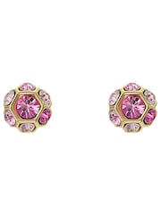 Ted Baker Gold Tone Gemme: Crystal Gem Cluster Stud Earrings - Image 2 of 5