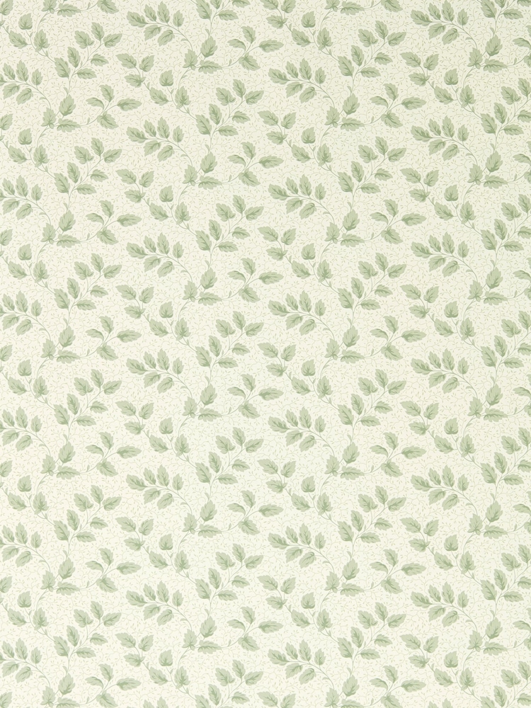 Sanderson Green Tomato Leaf A4 Wallpaper Sample - Image 1 of 1