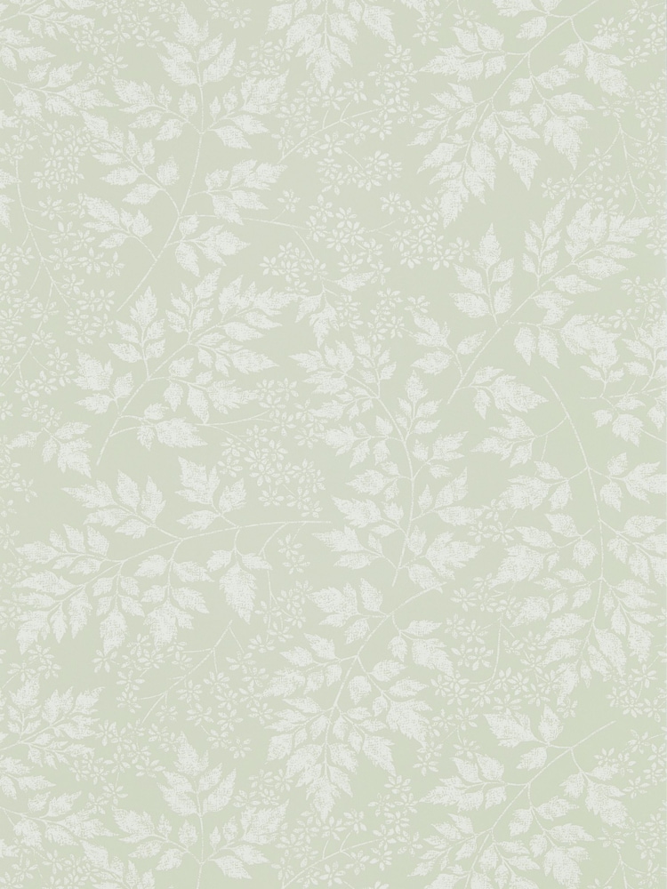 Sanderson Green Spring Leaves A4 Wallpaper Sample - Image 1 of 1 Sanderson Green Spring Leaves A4 Wallpaper Sample - Image 1 of 1