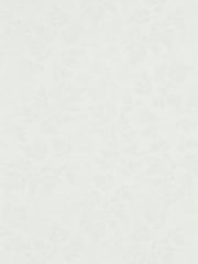 Sanderson Grey Spring Leaves A4 Wallpaper Sample - Image 1 of 1