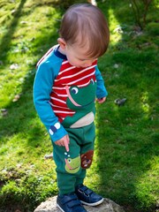 Frugi Red Alfie Raglan Top - Image 4 of 4
