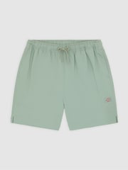 Dunkelgrün - Dickies Pelican T-shirts - Bild 7 von 8