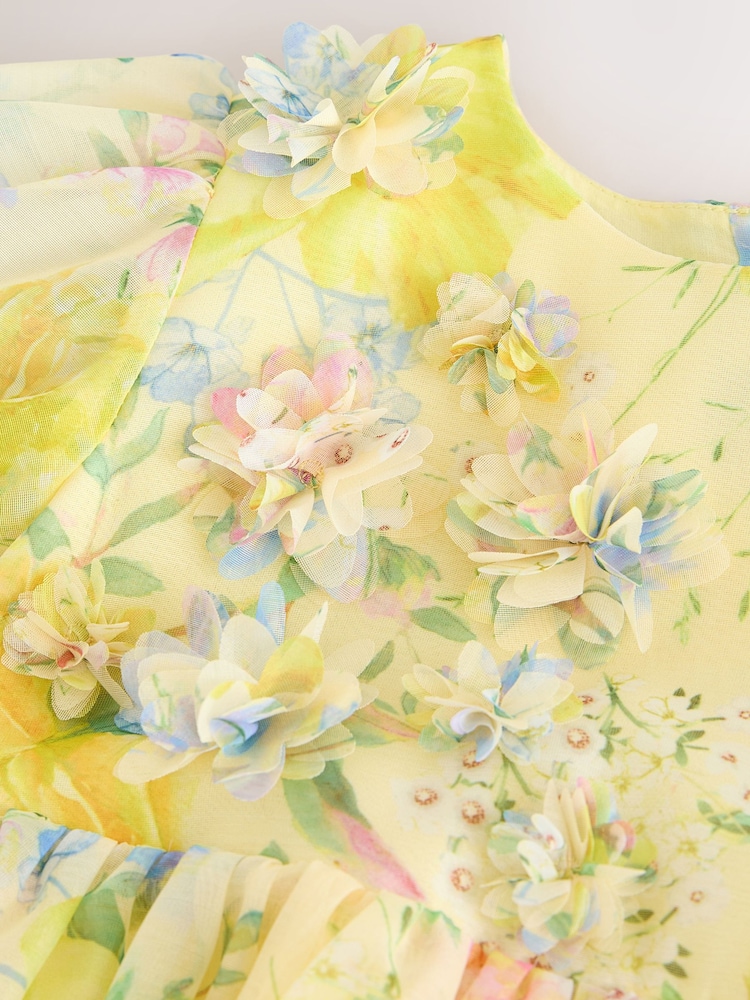 הדפס צהוב פרחוני - שמלה עם עיטור פרחים בתלת ממד (גיל 3 חודשים עד 8 שנים) - תמונה 7 מתוך 7
