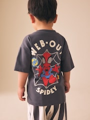 Negro lavado - Camiseta de manga corta con diseño gráfico de banda (3 meses - 8 años) - Imagen 4 de 9