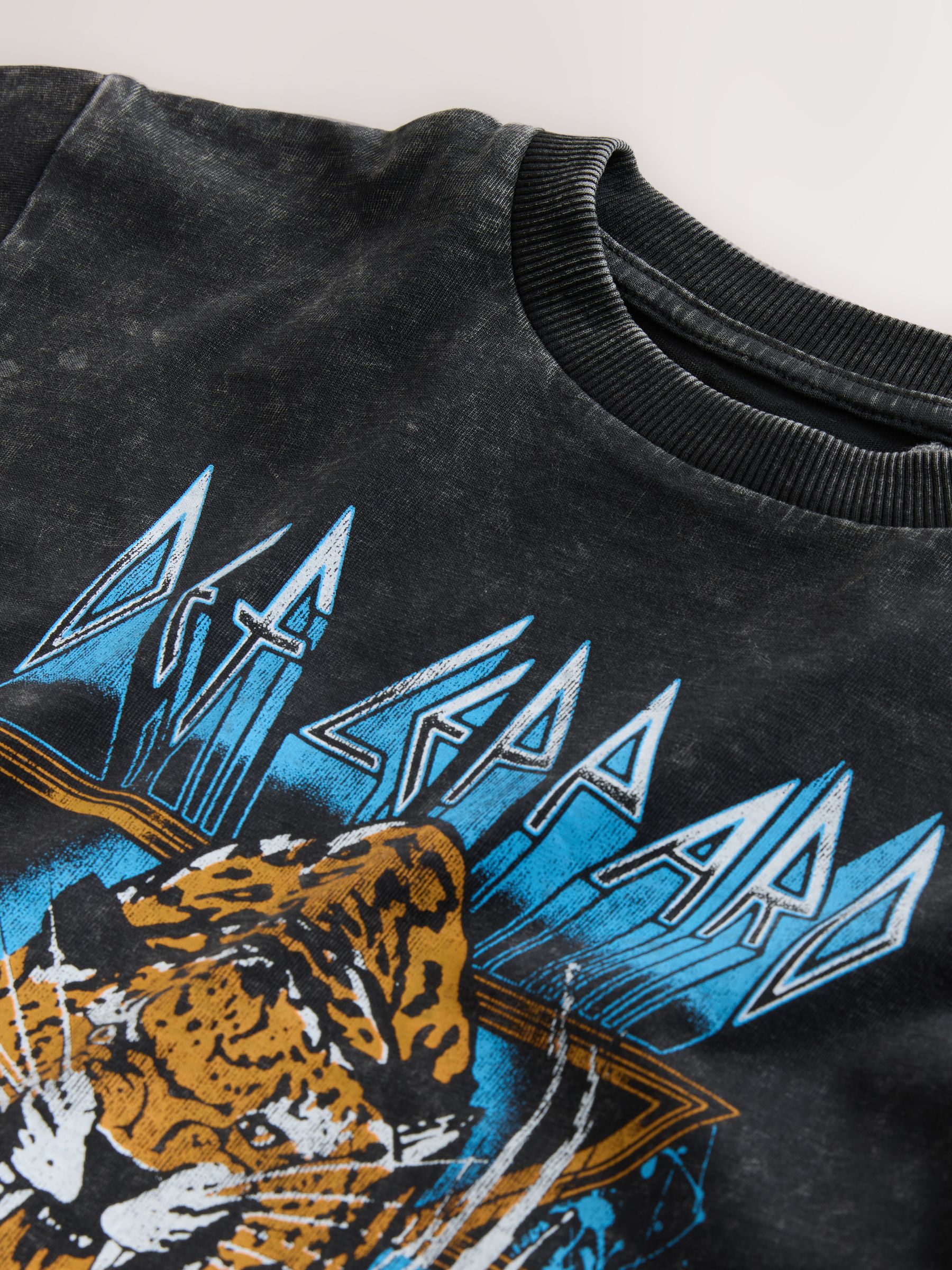 Next：日本 ウォッシュドブラック - バンド グラフィック 半袖Tシャツ