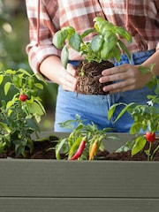 Keter Ashwood Darwin Raised Garden Planter - Image 2 of 5