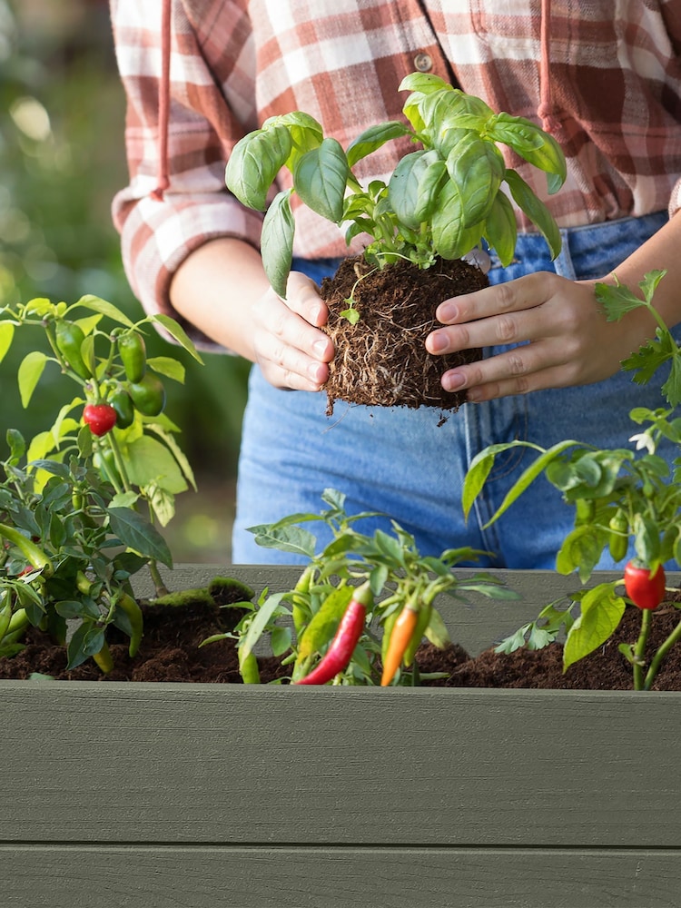 Keter Ashwood Darwin Raised Garden Planter - Image 2 of 5