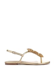 Sam Edelman Eliza Regular Fit Toe Post Sandals - Image 1 of 6