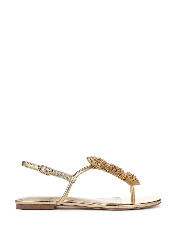 Sam Edelman Eliza Regular Fit Toe Post Sandals - Image 1 of 6