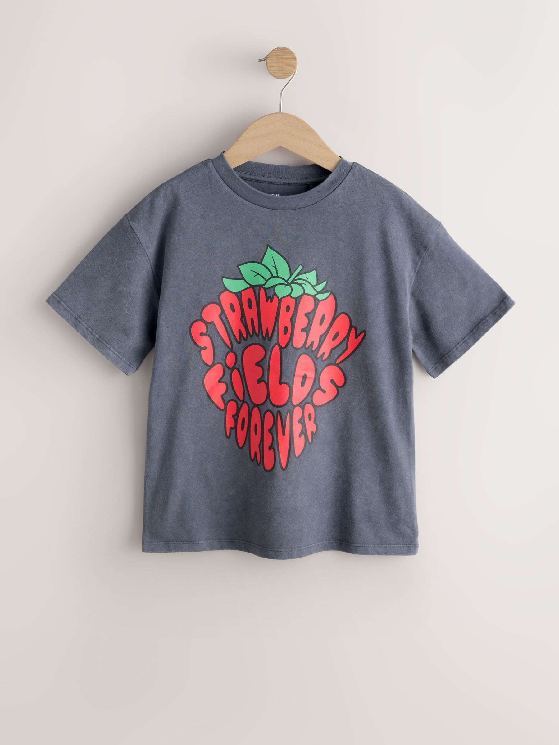 Buy Charcoal Grey The Beatles Band T-Shirt (3-16yrs) from the Next
