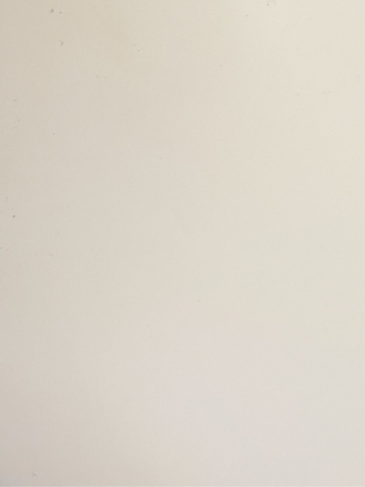 Barbour® Cream Halton Chelsea Wellies - Image 10 of 10