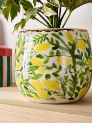 Lucy Tiffney Lemons Large Plant Pot - Image 3 of 5
